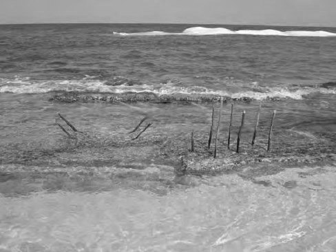 Crack Dexpan Underwater Demolition