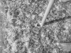 Crack Dexpan Underwater Demolition