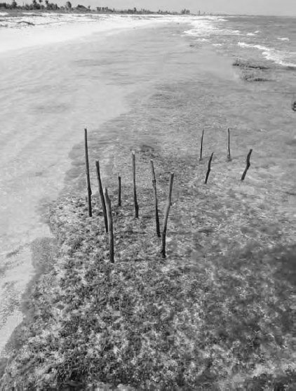 Crack Dexpan Underwater Demolition
