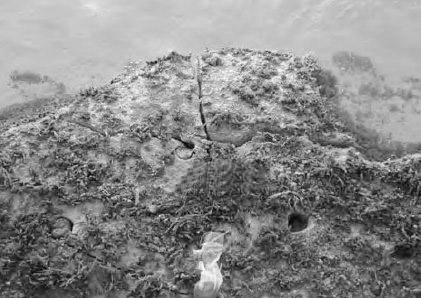 Crack Dexpan Underwater Demolition