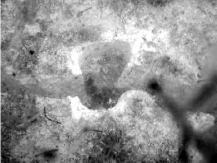 Crack Dexpan Underwater Demolition