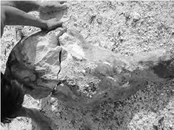 Crack Dexpan Underwater Demolition