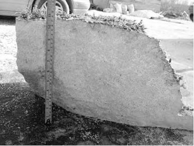 Crack Dexpan Underwater Demolition